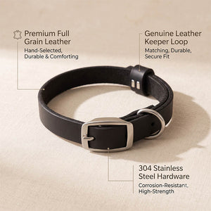 dg-col-0017-5
