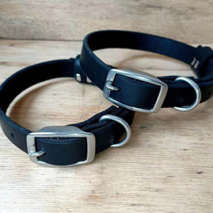 dg-col-0017-7