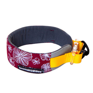 dg-col-0019-brg-1