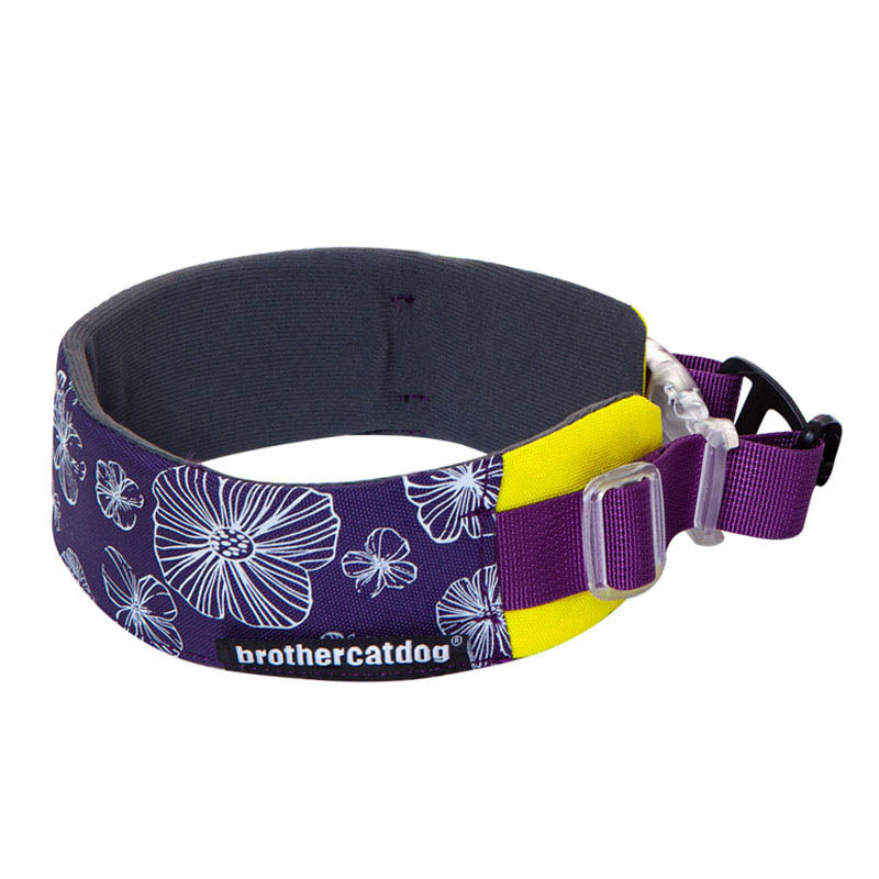 dg-col-0019-dpr-1