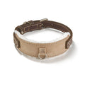 dg-col-0020-1