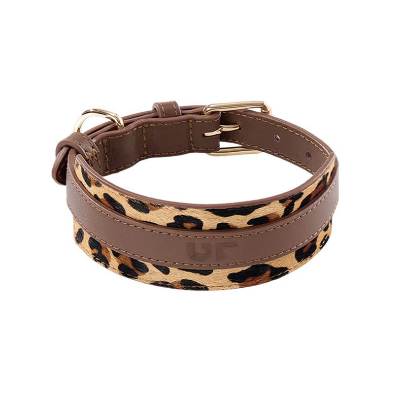 dg-col-0021-sin-lpch-1