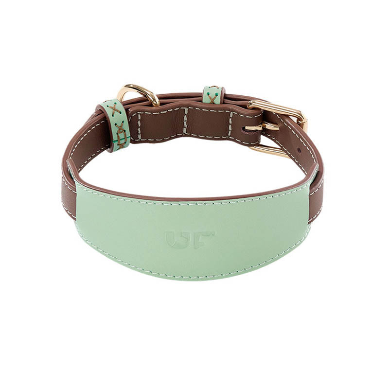 dg-col-0021-sin-sgch-1
