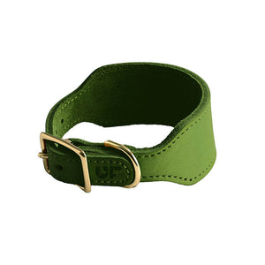 dg-col-0022-olv-1