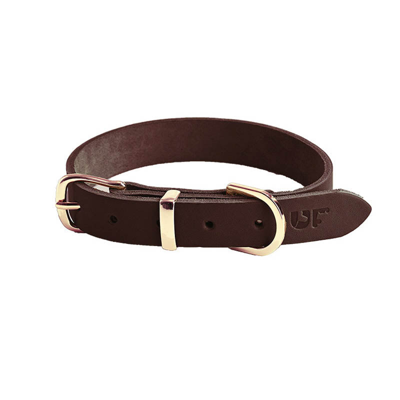 dg-col-0023-dkc-1