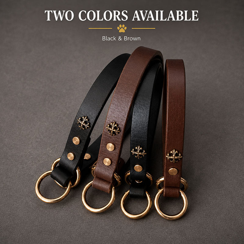 dg-col-0024-2
