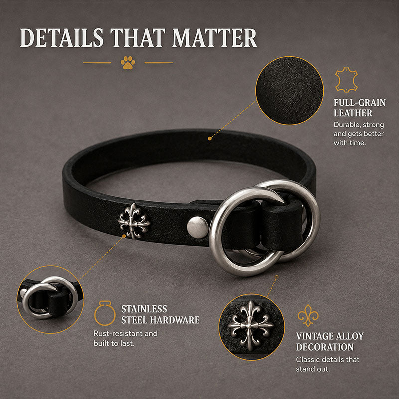 dg-col-0025-1