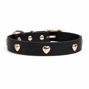 dg-col-0026-blk-1