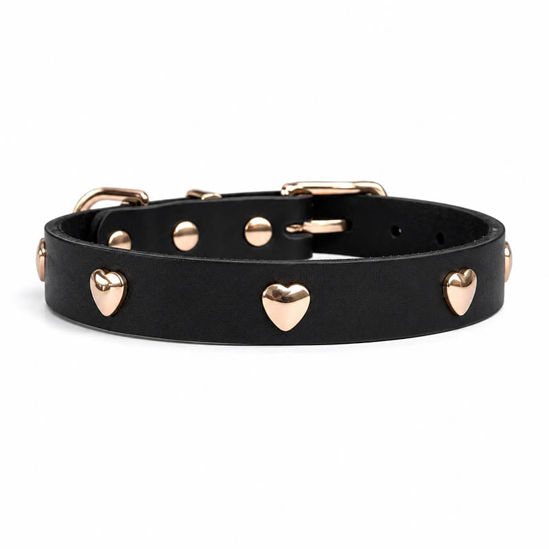 dg-col-0026-blk-1