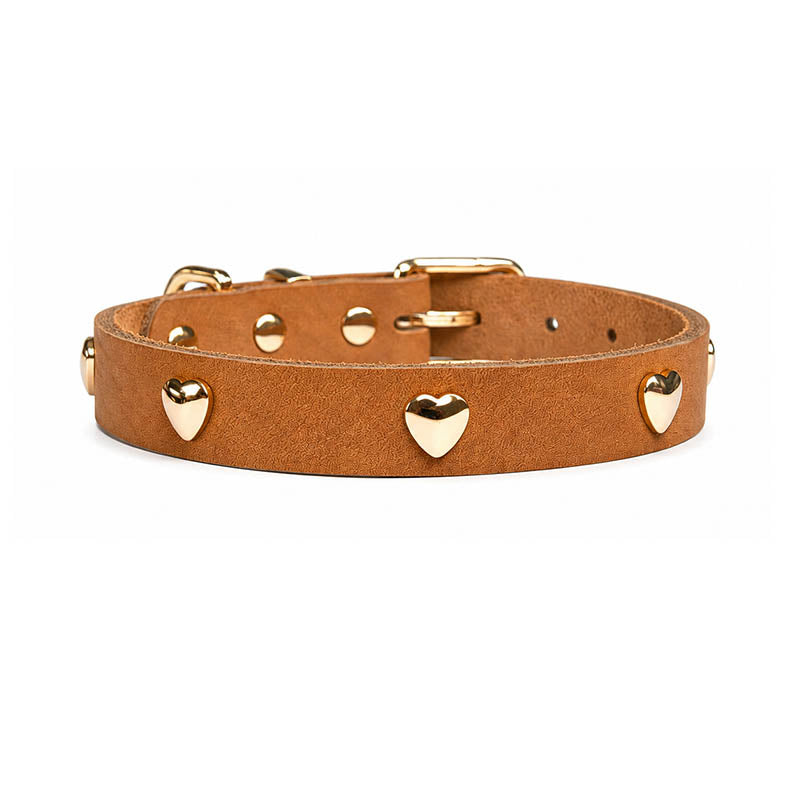 dg-col-0026-bto-1