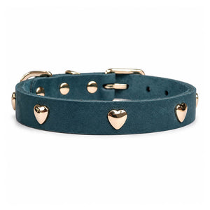 dg-col-0026-teal-1