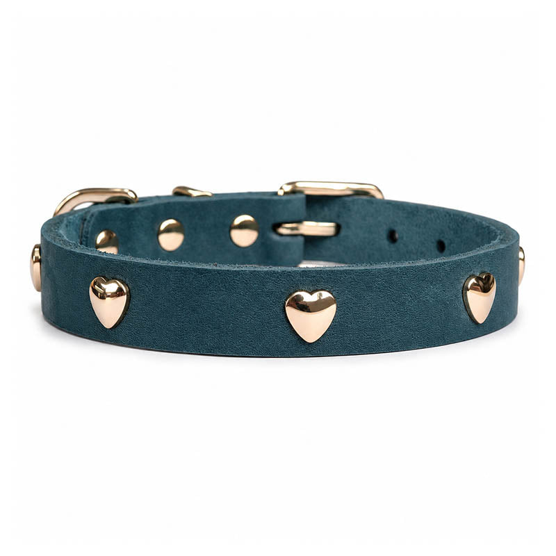 dg-col-0026-teal-1