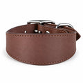 dg-col-0027-brn-1