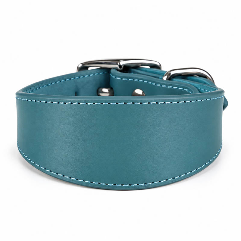 dg-col-0027-teal-1