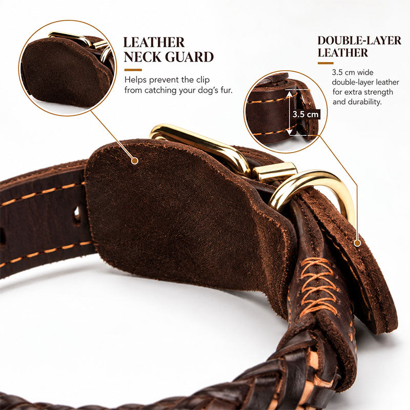 dg-col-0031-2