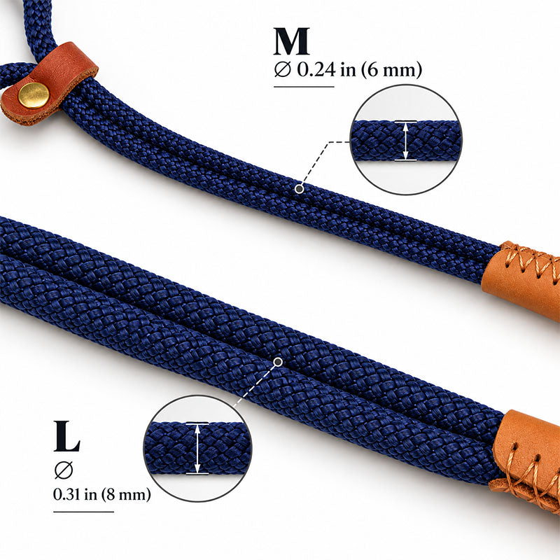 dg-col-0033-4