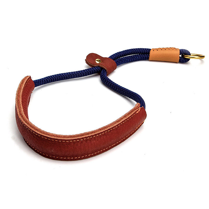 dg-col-0033-blu-1