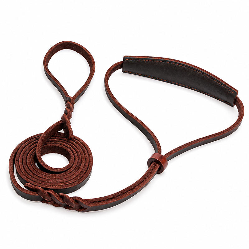 dg-col-0038-1