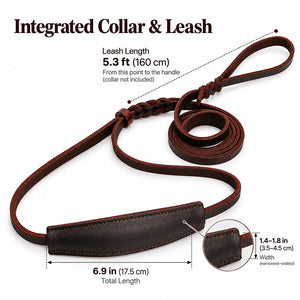 dg-col-0038-6