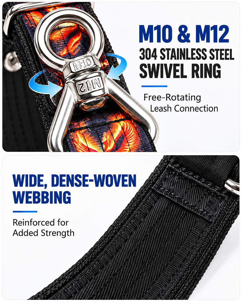 dg-col-0039-2