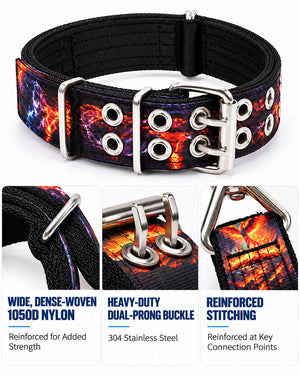 dg-col-0039-6