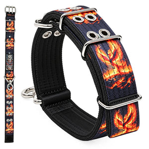 dg-col-0039-sin-phx-1