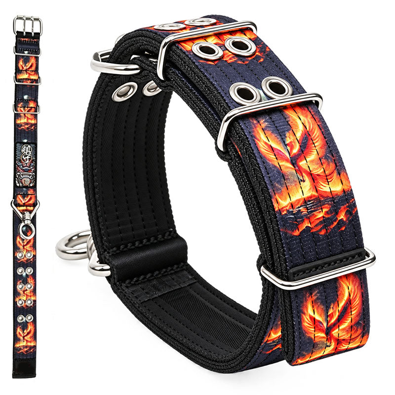 dg-col-0039-sin-phx-1