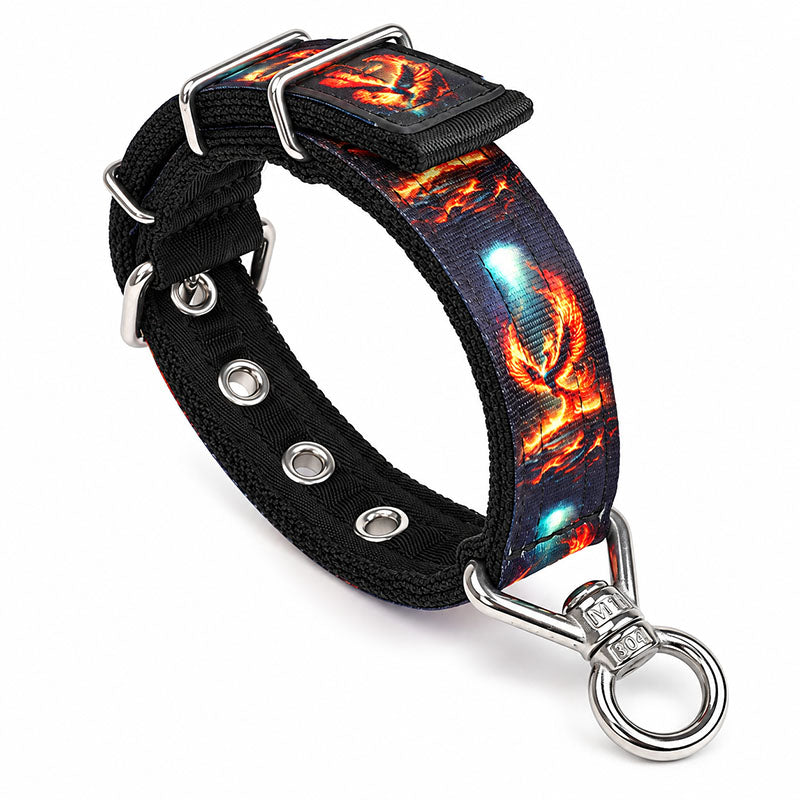 dg-col-0040-sin-phx-1