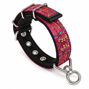 dg-col-0040-sin-red-1