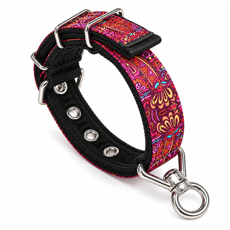 dg-col-0040-sin-red-1