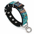 dg-col-0040-sin-tbo-1