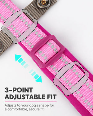 Close-up of 3-point adjustable buckle on a pink reflective padded dog collar