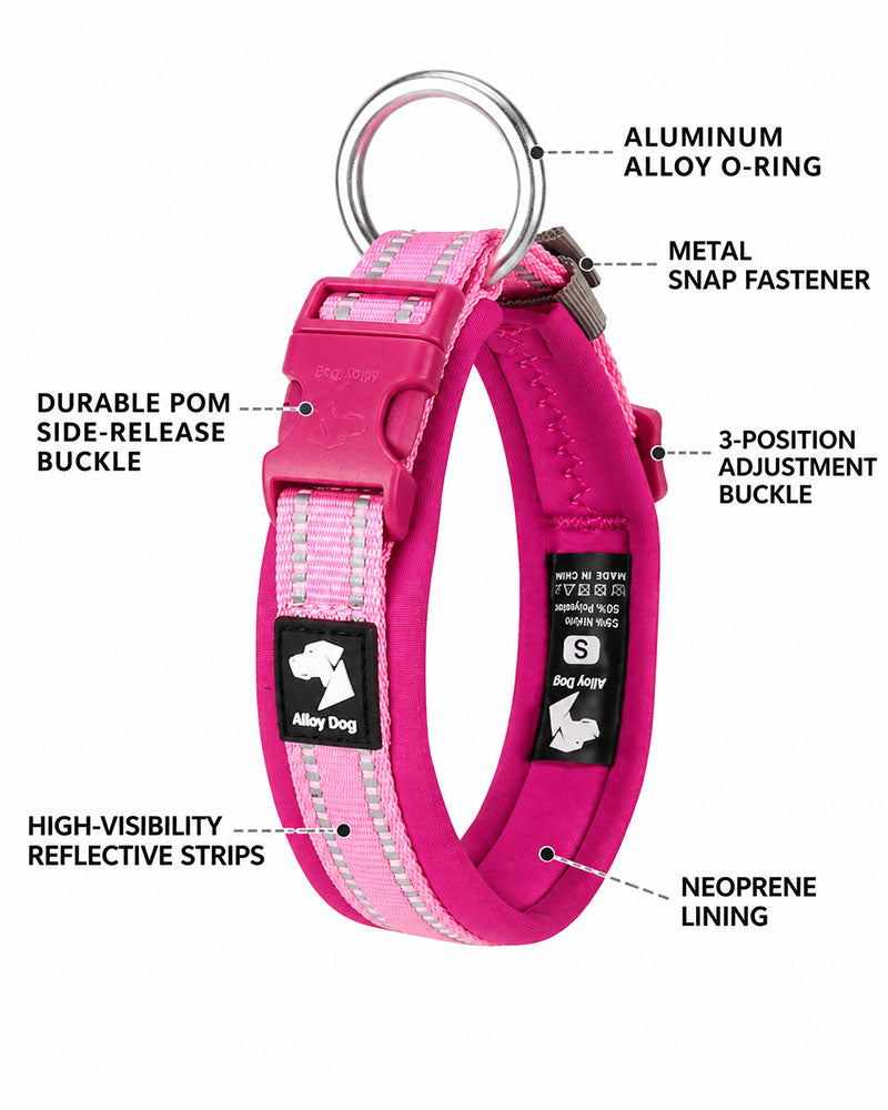 Labeled diagram of reflective padded dog collar showing D-ring, buckle, padding, and reflective strips