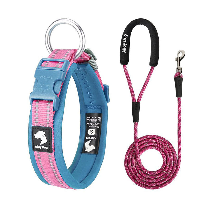 Aqua Blue and Candy Pink reflective padded dog collar with matching rope leash and foam handle
