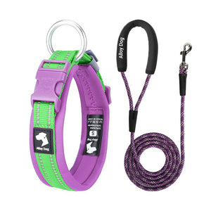 Lime Green and Grape Purple reflective padded dog collar with matching rope leash and foam handle
