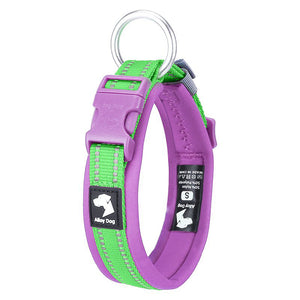 Reflective padded dog collar in Lime Green and Grape Purple with neoprene lining and dual reflective strips