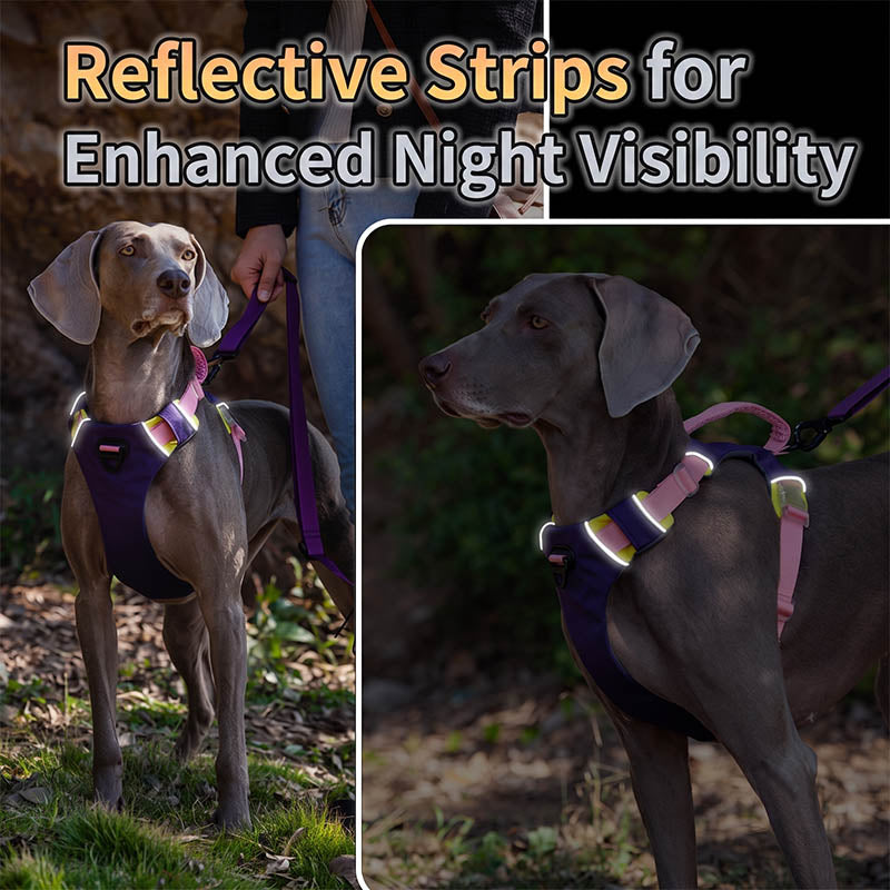 dg-har-0008-2