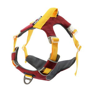 dg-har-0008-brg-1