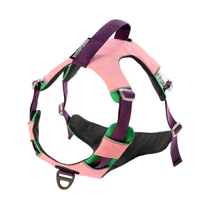dg-har-0008-pnk-1