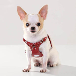 dg-har-0012-red-2