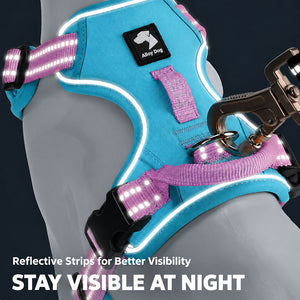 Reflective trim and webbing on the dog harness glowing in low light for night-time visibility