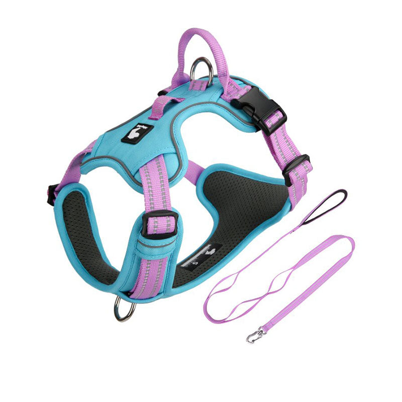 Aqua Blue / Lilac Pink reflective dog harness and matching leash set