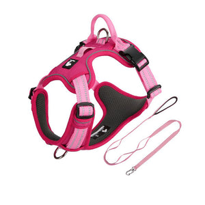 Raspberry Pink / Candy Pink reflective dog harness and matching leash set