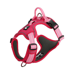 Adjustable reflective dog harness in Raspberry Pink / Candy Pink with front and back D-rings and top handle