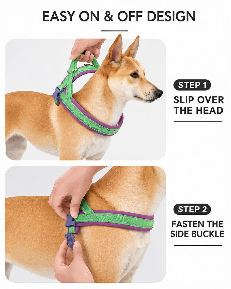 Two-step fitting guide: slip the padded harness over the dog's head, then fasten the side buckle