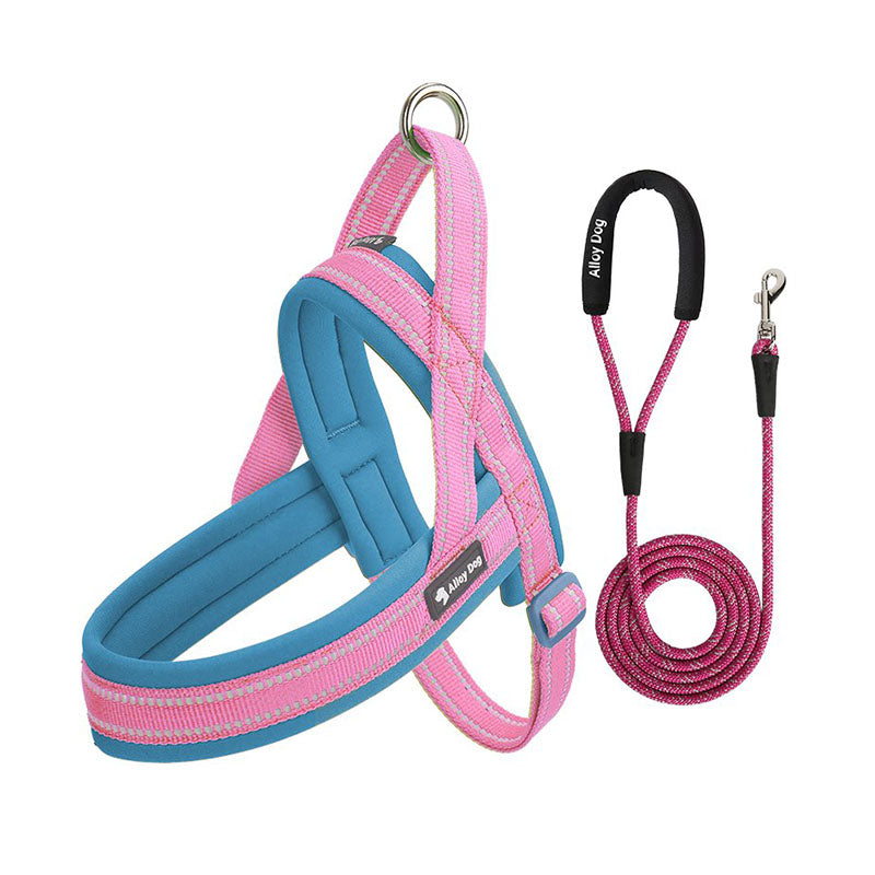 Aqua Blue / Candy Pink padded dog harness with matching braided rope leash set