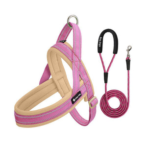 Candy Pink / Beige padded dog harness with matching braided rope leash set