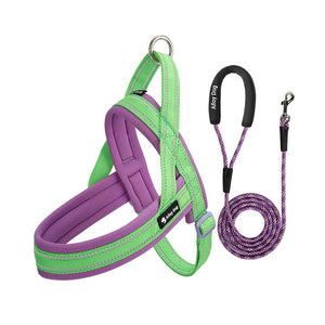 Lime Green / Grape Purple padded dog harness with matching braided rope leash set
