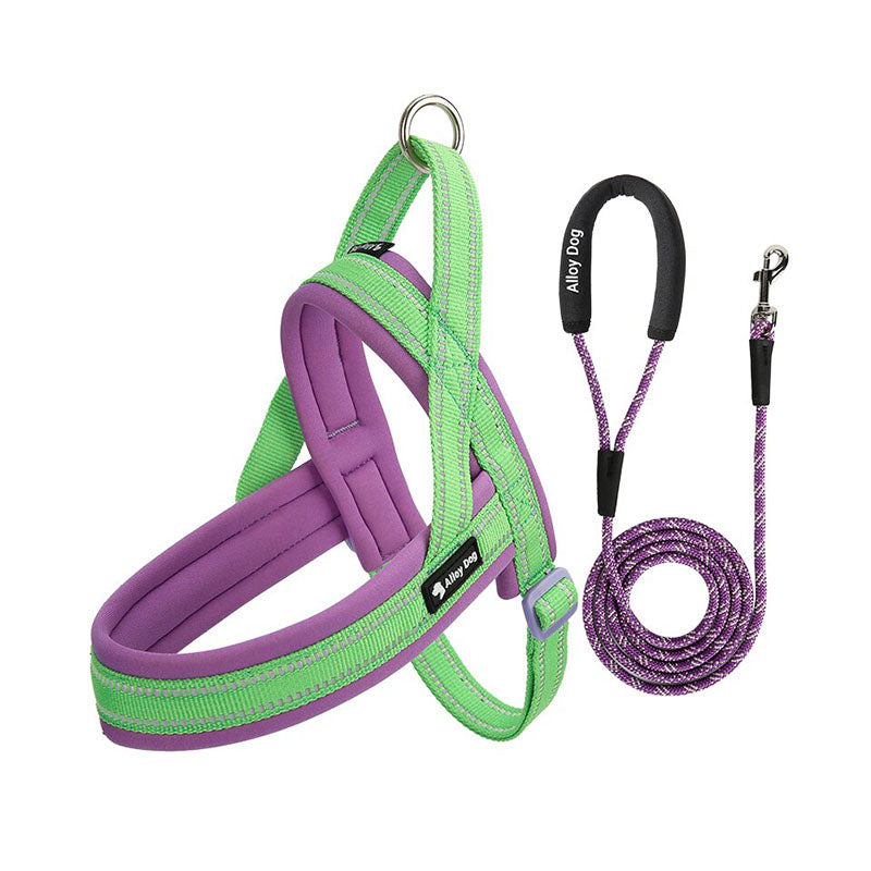 Lime Green / Grape Purple padded dog harness with matching braided rope leash set