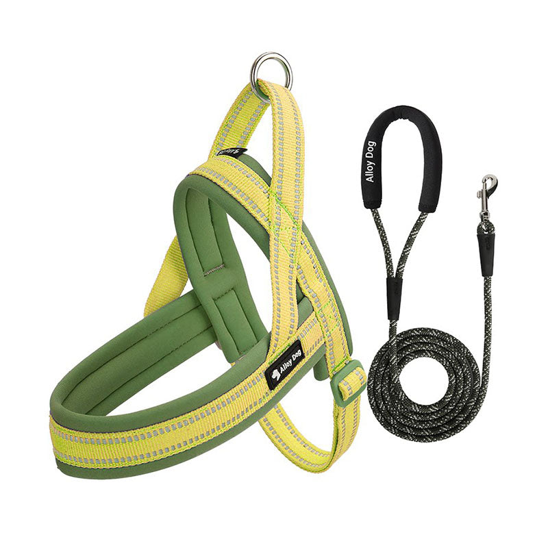 Lemon Yellow / Sage Green padded dog harness with matching braided rope leash set